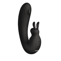 The Internal Rabbit