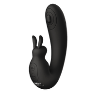 The Internal Rabbit