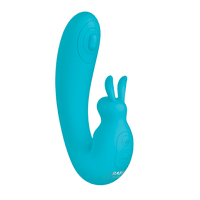 The Internal Rabbit
