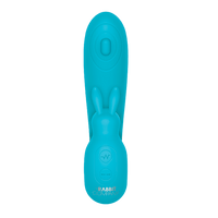 The Internal Rabbit