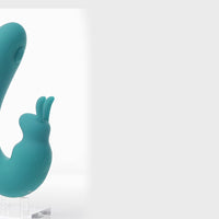 The Internal Rabbit