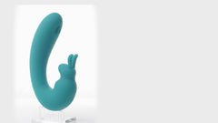 The Internal Rabbit