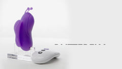 The Remote Control Butterfly Panty Vibe