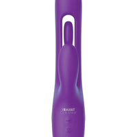 The Flicking Rabbit - Purple